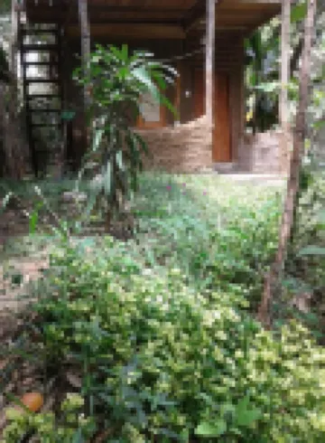 綠葉小屋酒店