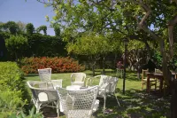 Detached House Near the Sea with Garden and Terrace