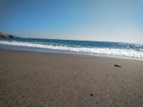 New Aurora Apts Studios