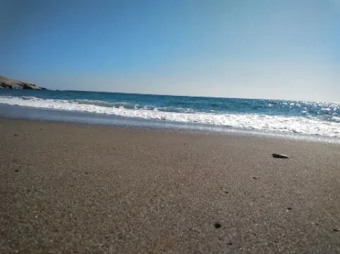 New Aurora Apts Studios