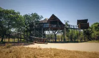 Pezulu Tree House Lodge