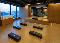 Windsor Hotel & Convention Center Istanbul - Fitnessstudio