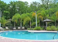 Hampton Inn & Suites Tampa-Wesley Chapel - Pool