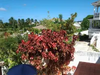 Sungold House Barbados Hotels in Speightstown