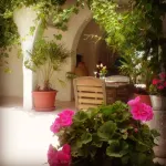 Hotel Arisha Hotels near Djerba