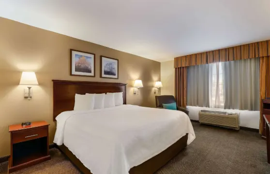 曼斯特套房酒店