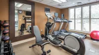 Hilton Garden Inn Denver Airport - Gym