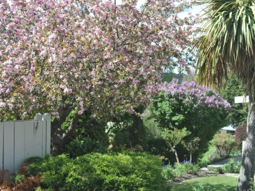 Alexandra Garden Court Motel Hotels in Alexandra