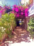 Apollonia Apartments - Huoneistot