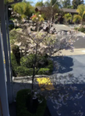 Oak Motel