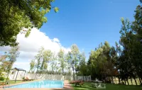 Vindoux Tree House Guest Farm & Spa Hôtels à : Cape Winelands