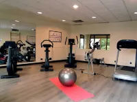 Hôtel Mercure Bordeaux Château Chartrons - Gym
