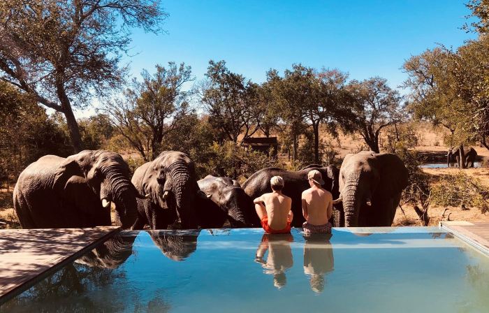 Honeyguide Tented Safari Camp - Khoka Moya
