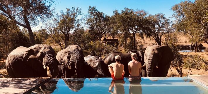 Honeyguide Tented Safari Camp - Khoka Moya Hoteles en Distrito Municipal de Ehlanzeni