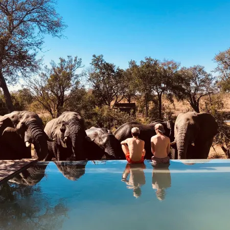 Honeyguide Tented Safari Camp - Khoka Moya