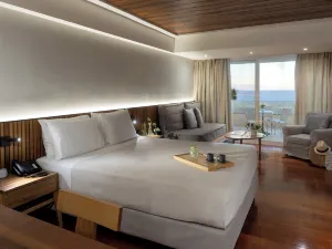 아트리움 호텔 플라타니아스