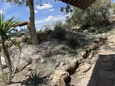 阿洛伊格羅夫野生動物園旅館 酒店