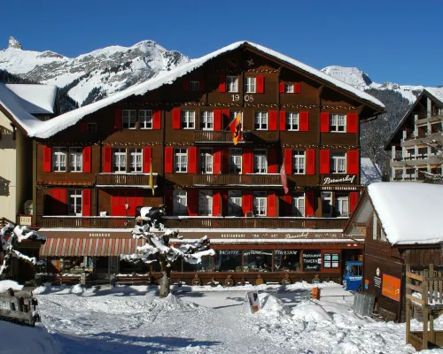 Swiss Lodge Hotel Bernerhof Hotels in Wengen
