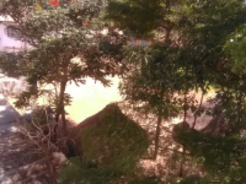 Green Court Hotel Hotels in Bondo
