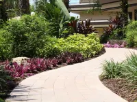 Rosen Inn at Pointe Orlando Hotels in Orange County