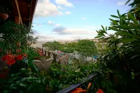 Goreme Alaturca House - โรแมนติก