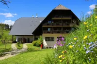 Stuub Jostal