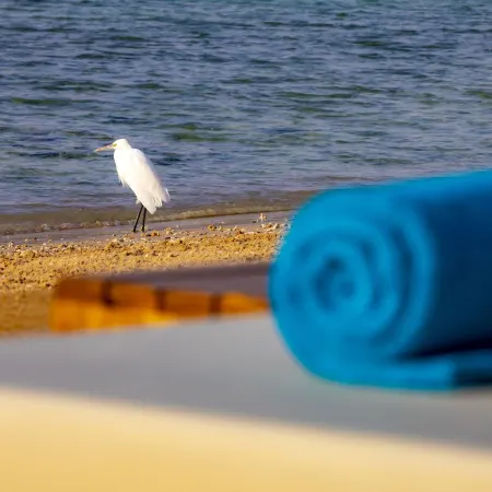 AJIRA Resort Sahl Hashish