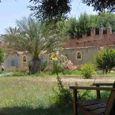 Bivouac Sous les Palmiers Bleus Hotel Exterior