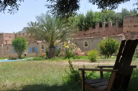 Bivouac Sous les Palmiers Bleus