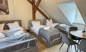 Coy Apartments Leoben - Stay Comfortable, Work Smart