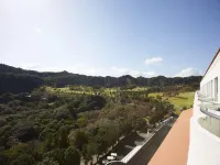 Kamogawa Country Hotel - Mountain view