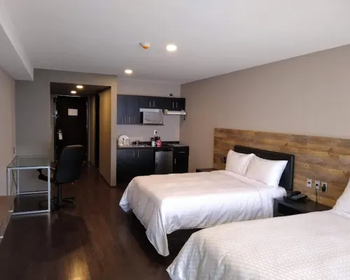 Elite 47 Hotel & Suites Hotels near Arcos Bosques Tower