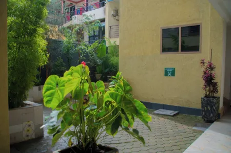 Rond Point Gorilla Boutique & Apartments