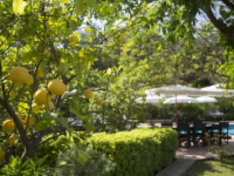 ミスター ディム エクスクルーシブ アパート ホテル ギョジェクのホテル