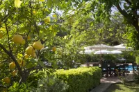 Mr. Dim Exclusive Apart Hotel Hotels in Gocek