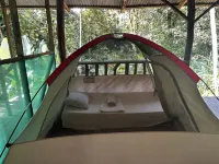 Rio Agujitas Eco Farm Hostel and Tours