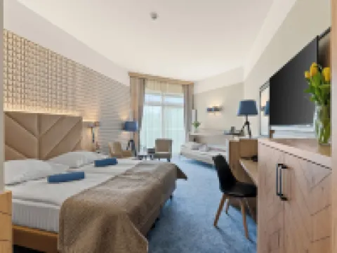 Spa & Wellness Hotel Diament Ustroń Hotels in Ustron