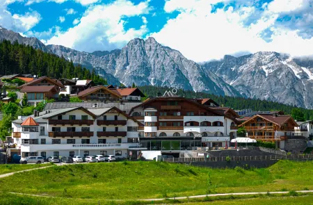Mountains Hotel Отели в г. Гемайнде Инцинг