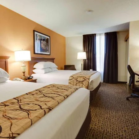Wingate by Wyndham St Louis-Fenton Route 66