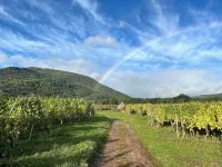 Phil’Audelà Small haven of peace of 50 m2 in a small Alsatian village. Hotel in zona St Louis