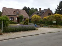 La Chrysalide