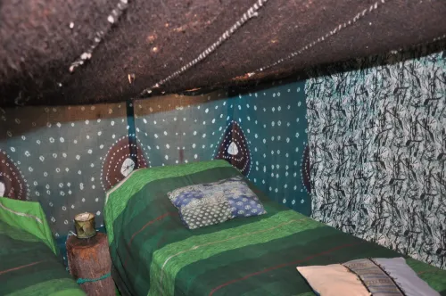 Bivouac Sous les Palmiers Bleus