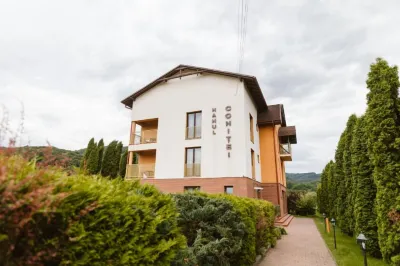 Hanul Conitei Hotel di 