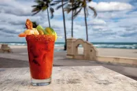Hollywood Beach Marriott - Ocean View