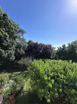 Locanda di Casa Spadoni