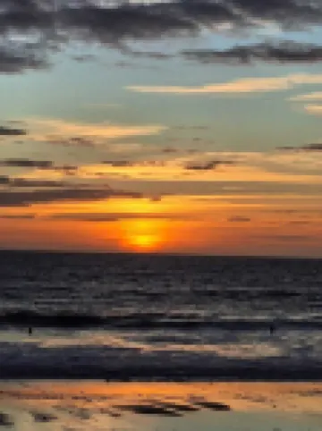 Flat on the beachfront