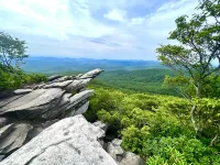 Dog-Friendly Banner Elk Condo w/ Slope View and Deck