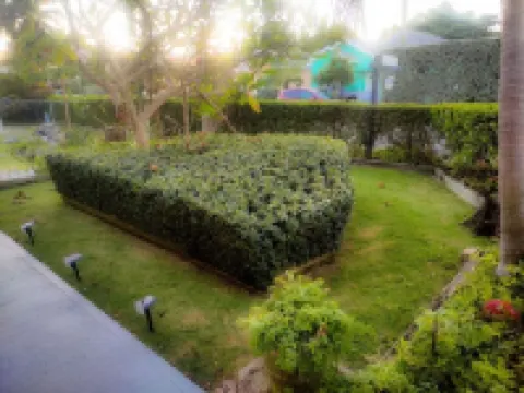 Slice of Paradise- 2 mins from Spotts Beach!