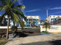 Spectacular Ocean View  Penthouse, Terrace, 2br, 2bth -  Surrounded by Nature
