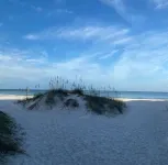 Tropical Paradise - boutique house and cottage with outdoor entertainment deck